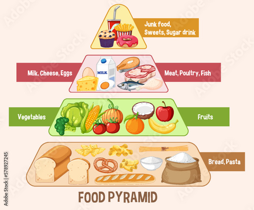 Food nutrition groups pyramid