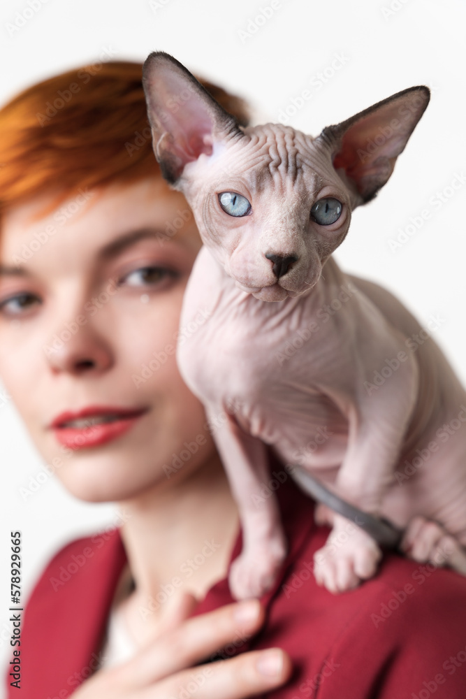 Sphynx Hairless kitten looking at camera sitting on shoulder of beautiful redhead young woman with short hair, dressed in red jacket. Studio shot on white background. Part of series.