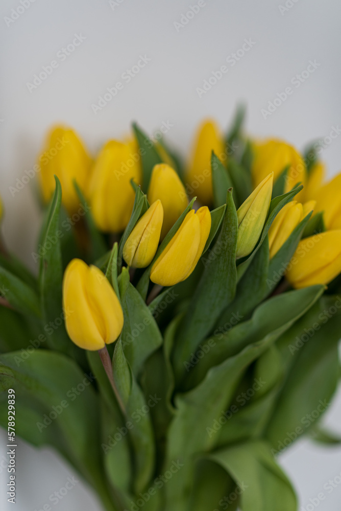 Bouquet of yellow flowers tulips against a white wall. Bouquet of yellow flowers tulips against a white wall.