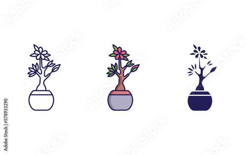 desert rose bonsai vector icon