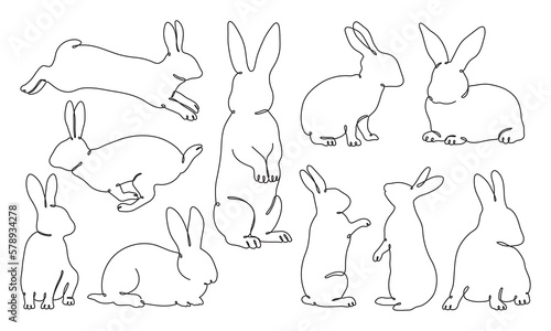 Rabbits in different poses set line drawing hand drawn illustration.