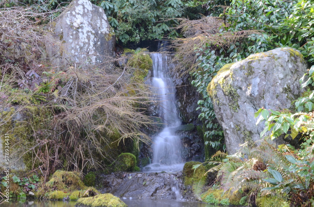 waterfall in the forest