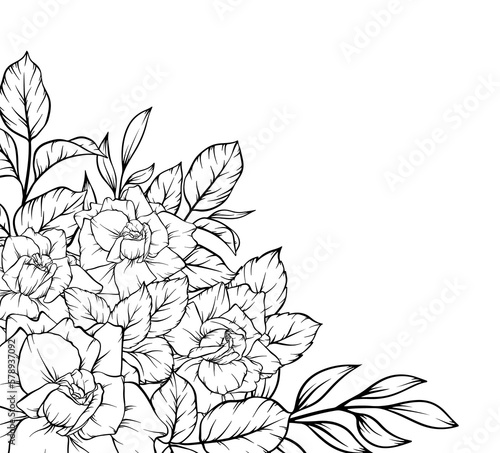 rose flower frame corner border outline decoration