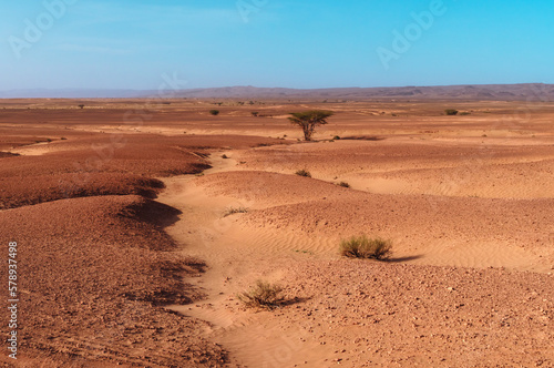 desertic Moroccan landscape near erg chegaga