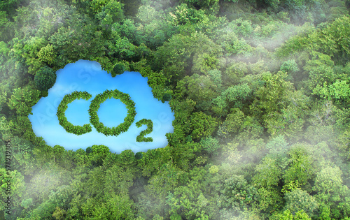 Concept depicting the issue of carbon dioxide emissions and its impact on nature in the form of a pond in the shape of a co2 symbol located in a lush forest. photo