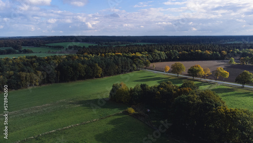 Wald und Wiesen photo