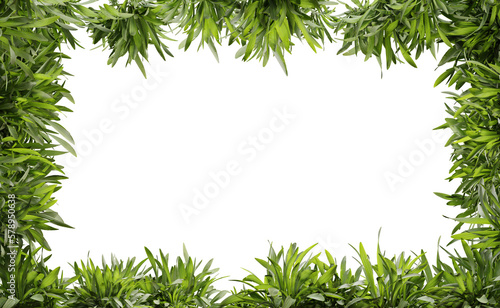 Green plant frame on transparent background, center space, 3d render illustration.