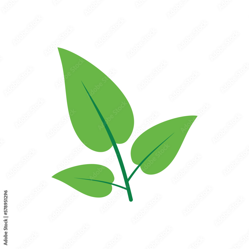 Green Leaf Illustration Green Leaf Illustration