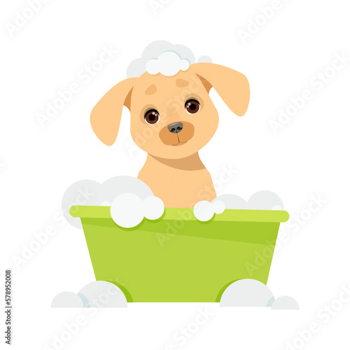 Cute dog sits in a bowl of soap bubbles