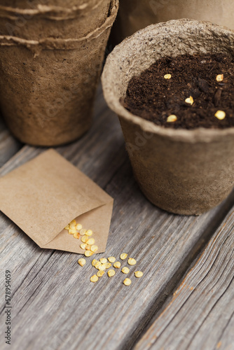 Tomato seeds in a biodegradable peat pot and paper bags with seeds on a wooden background. Closeup