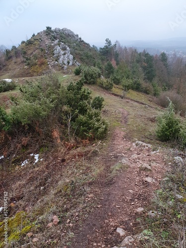 Rezerwat Przyrody Góra Miedzianka w Górach Świętokrzyskich photo