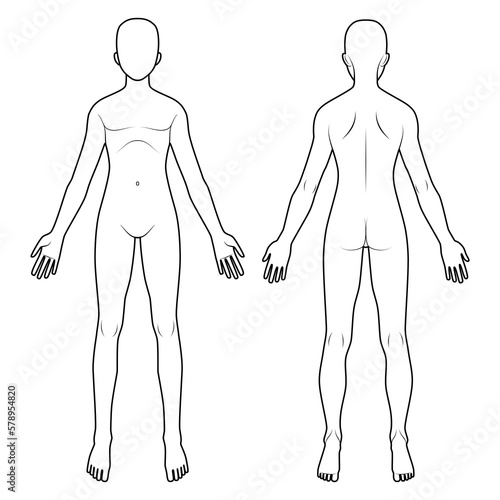 人体図　前面背面男性