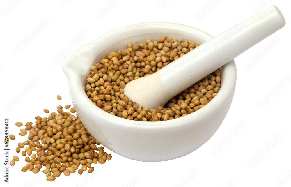 Whole coriander Whole coriander