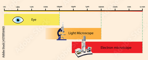 illustration of physics, Looking at small objects with the eye and with light microscope and electron microscope, Light versus Electron Microscopy