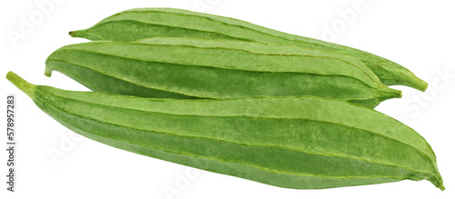 Obraz na płótnie Ridge gourd