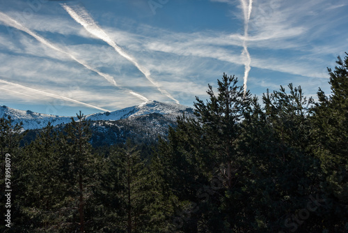 Snowy mountains surrounded by a large forest during a sunny day with contrails in sky photo