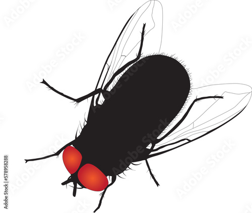 House fly vector silhouette on white background. Fully editable