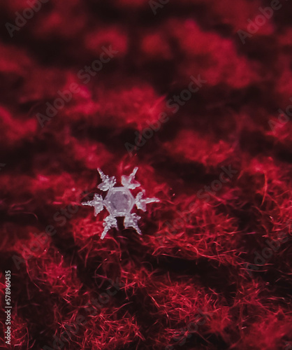 Close up of single snowflake on a red cloth photo