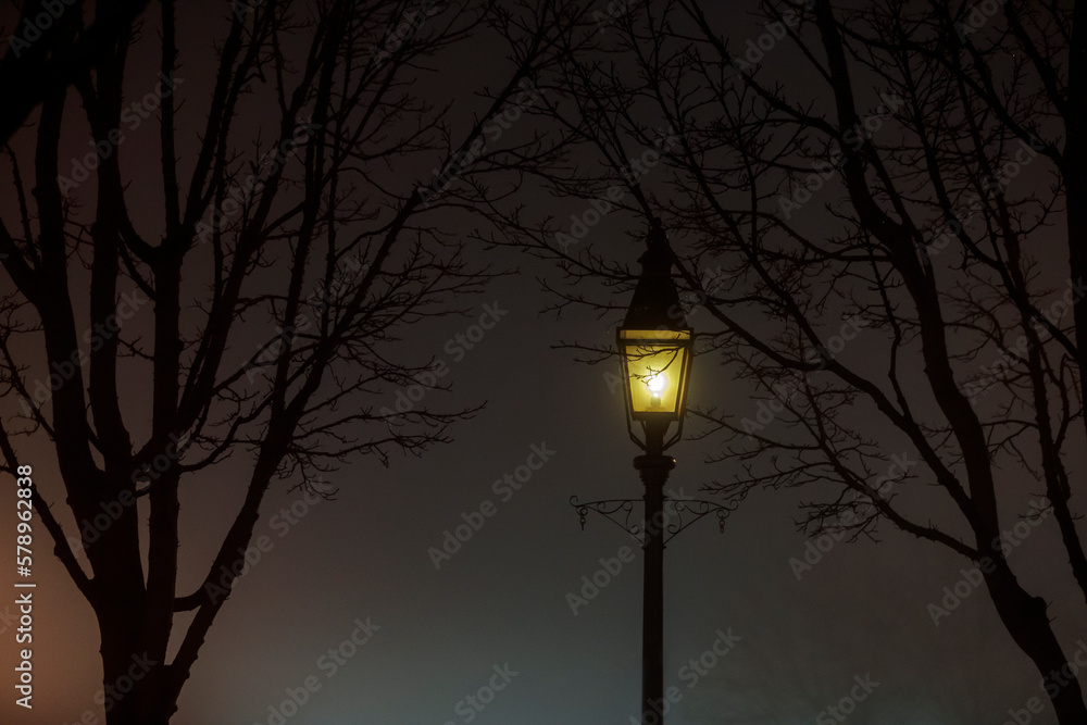 Street lamp illuminating foggy scene with winter branches. Street lamp illuminating foggy scene with winter branches.
