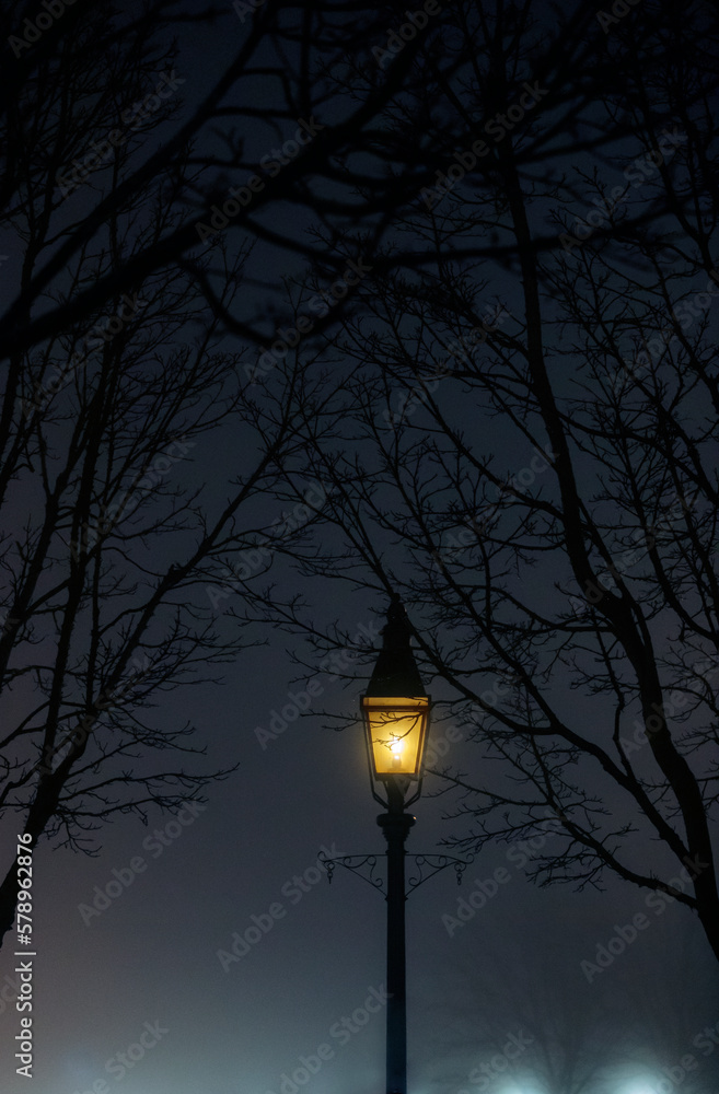Street lamp illuminating foggy scene with winter branches. Street lamp illuminating foggy scene with winter branches.