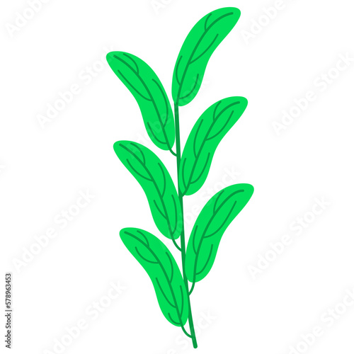 Green Leaf