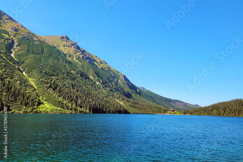 a magnificent view - the blue-turquoise expanse of the lake  surrounded by high mountains on one side and coniferous forest on the other. Stones growing out of species and tree branches.