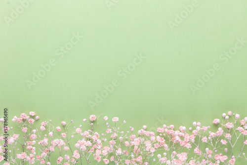 Obraz na płótnie Beautiful flower background of pink gypsophila flowers. Flat lay, top view. Floral pattern. w salonie