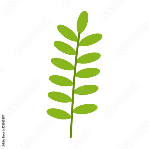 Green Leaf Illustration