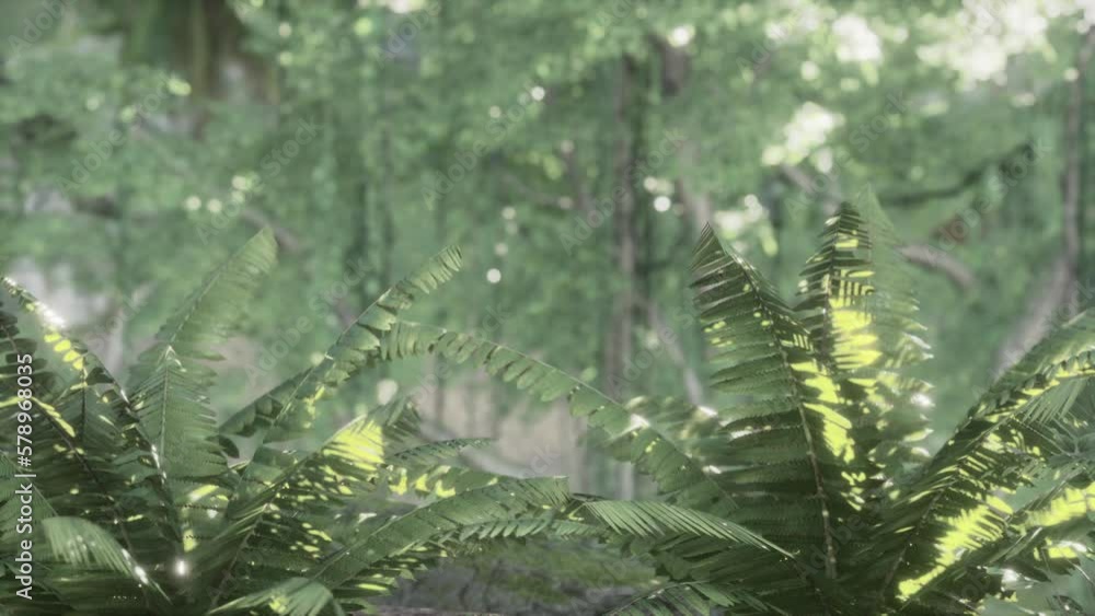 Tropical jungles of Southeast Asia in august Tropical jungles of Southeast Asia in august
