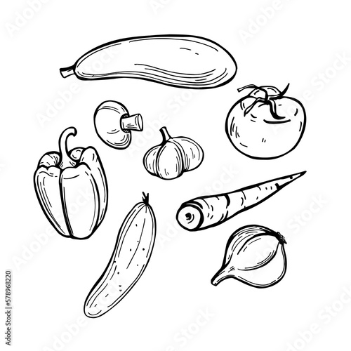 Sketch vegetables. Vector  illustration