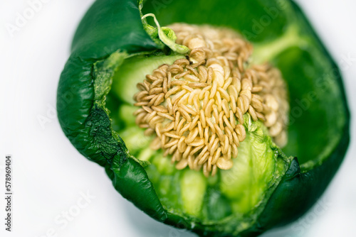 Withered green bell pepper isolated on white background. Inner walls and seeds details.