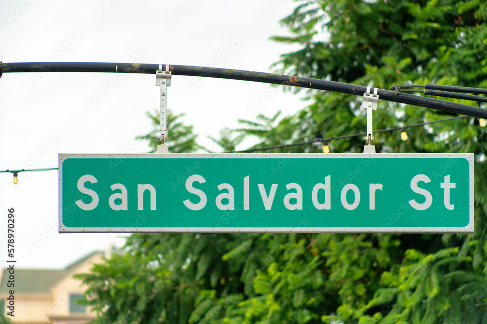 Fototapeta premium Green and white road sign on traffic light that says san salvador street in san jose california silicon valley districts