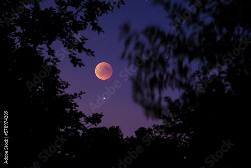 Blutmond