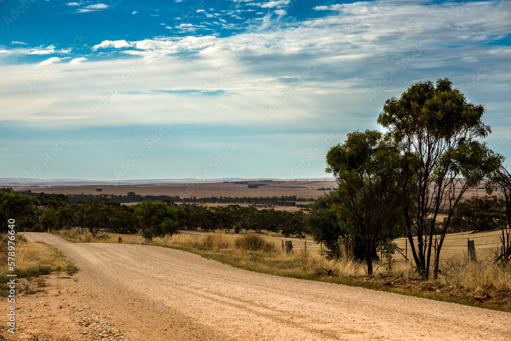 Obraz premium Clare Valley Landscape