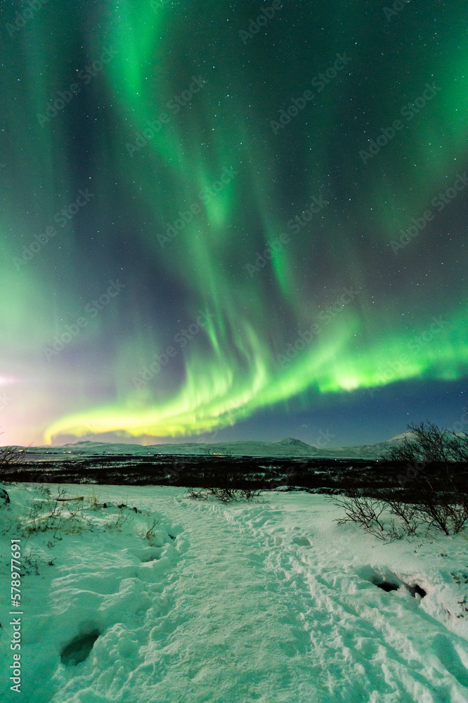 imagen de un paisaje nevado con una aurora boreal iluminando el cielo nocturno de Islandia con estrellas de fondo