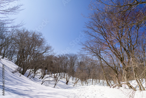 Wallpaper Mural 石川県金沢市にある医王山、白兀山を雪山登山している風景 Scenery of snow climbing Mt. Iozen and Mt. Shirahage in Kanazawa City, Ishikawa Prefecture, Japan. Torontodigital.ca