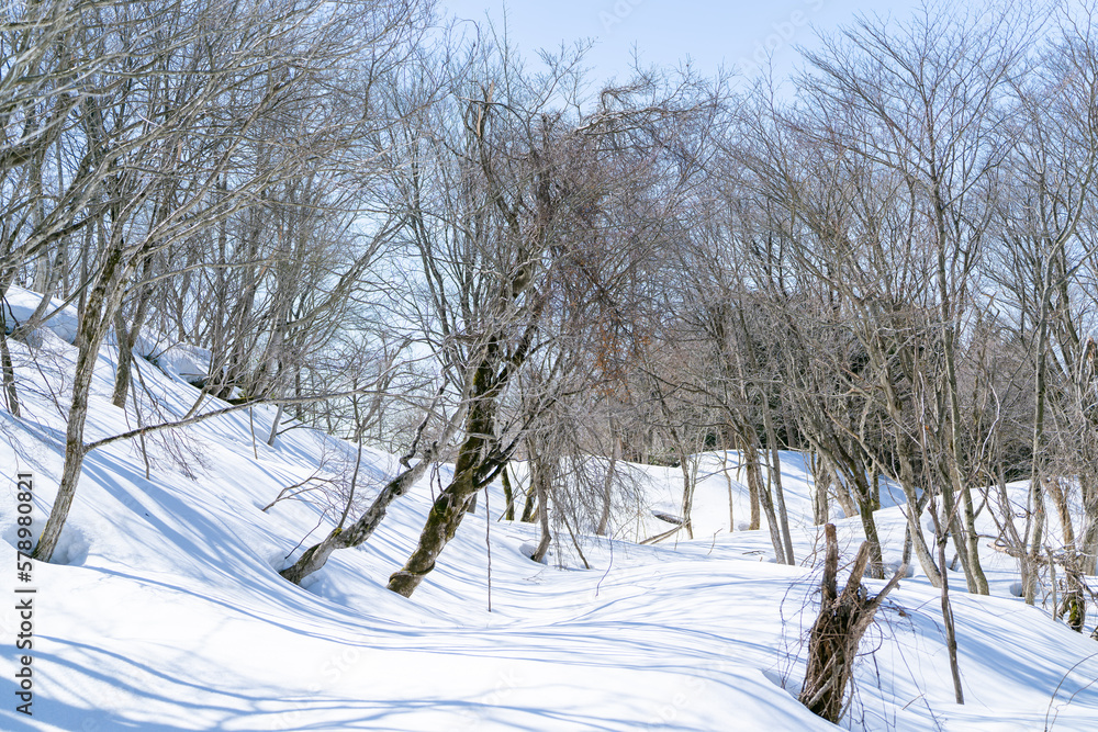 石川県金沢市にある医王山、白兀山を雪山登山している風景 Scenery of snow climbing Mt. Iozen and Mt. Shirahage in Kanazawa City, Ishikawa Prefecture, Japan. 石川県金沢市にある医王山、白兀山を雪山登山している風景 Scenery of snow climbing Mt. Iozen and Mt. Shirahage in Kanazawa City, Ishikawa Prefecture, Japan.
