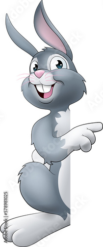 Easter Bunny Rabbit Cartoon...