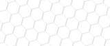 Abstract geometric hexagon white and gray color background. Computer digital drawing. white background. triangle tunnel. Modern Abstract vector illustration. Poster, wallpaper, Landing page. hexagon.