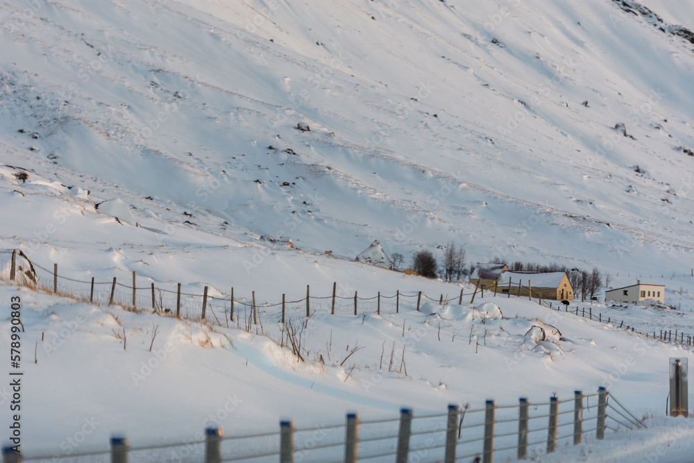imagen de un camino marcado por una valla metálica con los postes de