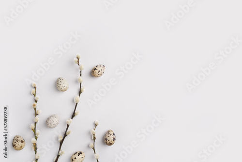Eco Easter postcard. Pussy willow branches and natural quail eggs on light grey background. Festive composition layout. Spring holiday. Willow catkins and eggs flat lay. Top view, copy space. photo