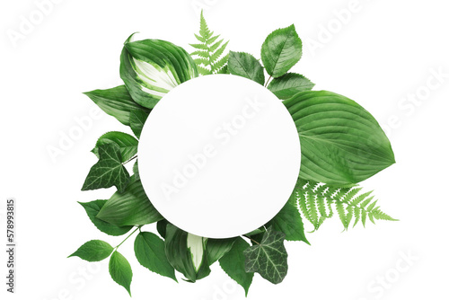 green leaves with white circle on transparent background