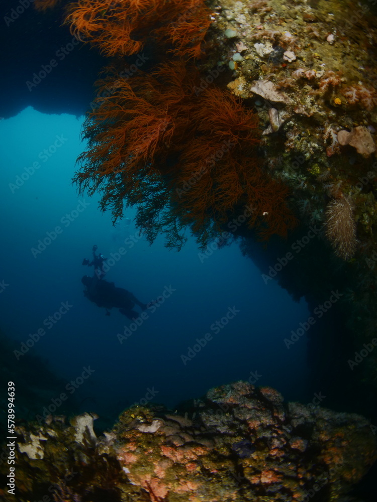 Obraz premium scuba diver exploring tropical waters with corals around