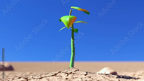 beautiful 3D animated timelaps in 4K of a green plant growing out of a dry and cracked dessert and getting bigger. Camera is moving dynamicly backwards photo