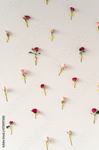 Pink and red bush roses are taped to a white wall