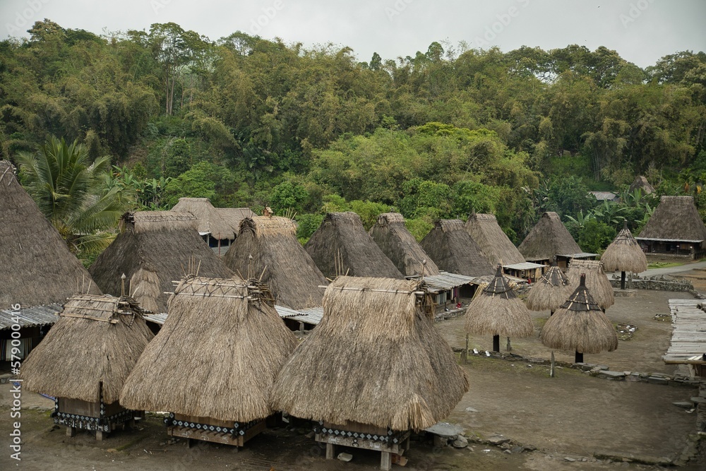 The traditional Bena Village on Flores, in the foreground several cone-shaped thatched huts, in the background the rainforest.