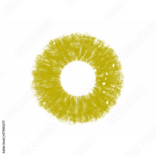 lemon isolated on white pupil,eyes,vision,pupils yellow,green,red,brown