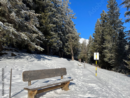 Wallpaper Mural Excellently arranged and cleaned winter trails for walking, hiking, sports and recreation in the area of the tourist resorts of Valbella and Lenzerheide in the Swiss Alps -  Switzerland (Schweiz) Torontodigital.ca