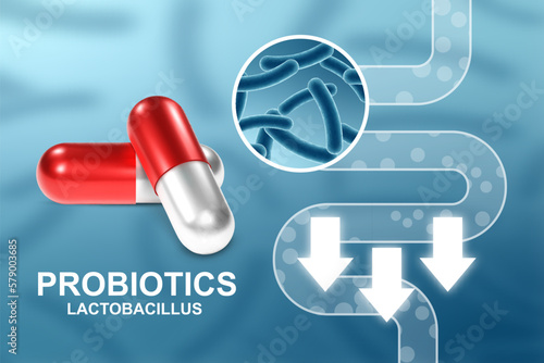 Probiotics banner template. Probiotic in capsule with digestive system. Microbiome elements with medical pill. Human health background. EPS10 vector