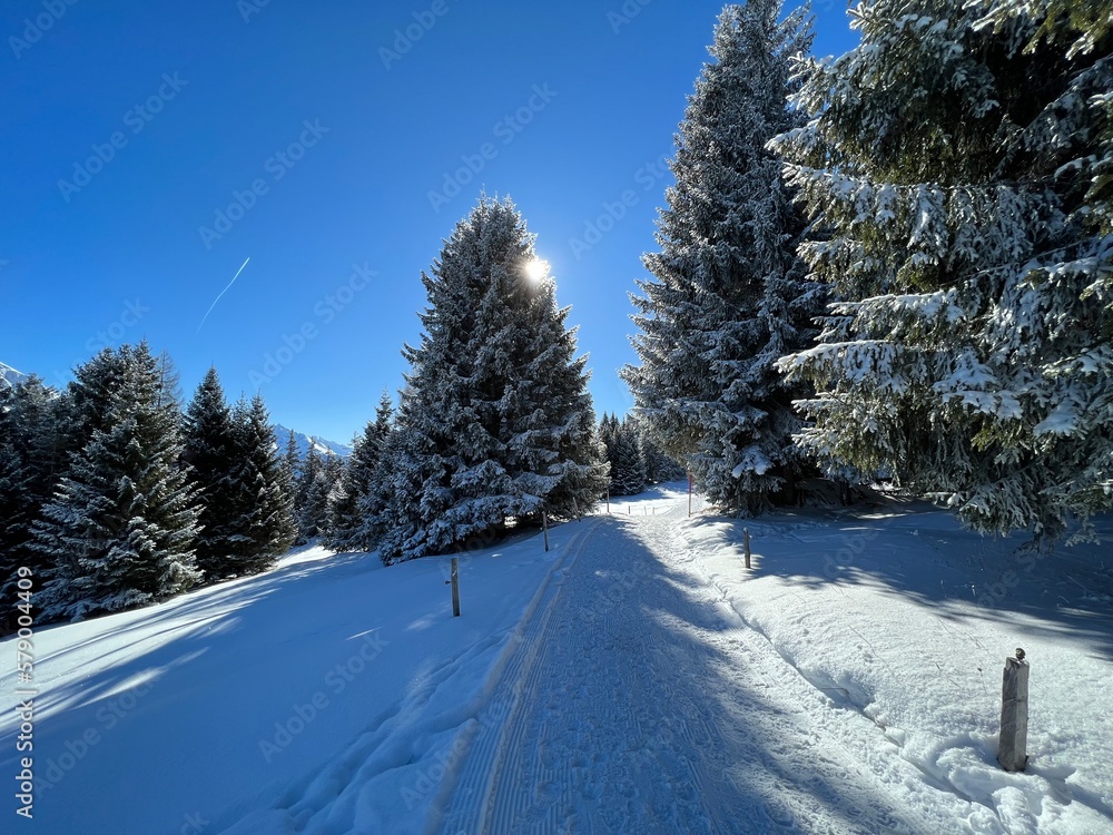 Excellently arranged and cleaned winter trails for walking, hiking, sports and recreation in the area of the tourist resorts of Valbella and Lenzerheide in the Swiss Alps - Switzerland (Schweiz) Excellently arranged and cleaned winter trails for walking, hiking, sports and recreation in the area of the tourist resorts of Valbella and Lenzerheide in the Swiss Alps - Switzerland (Schweiz)